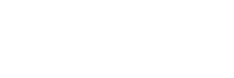 肉汁たっぷりの牛肉には